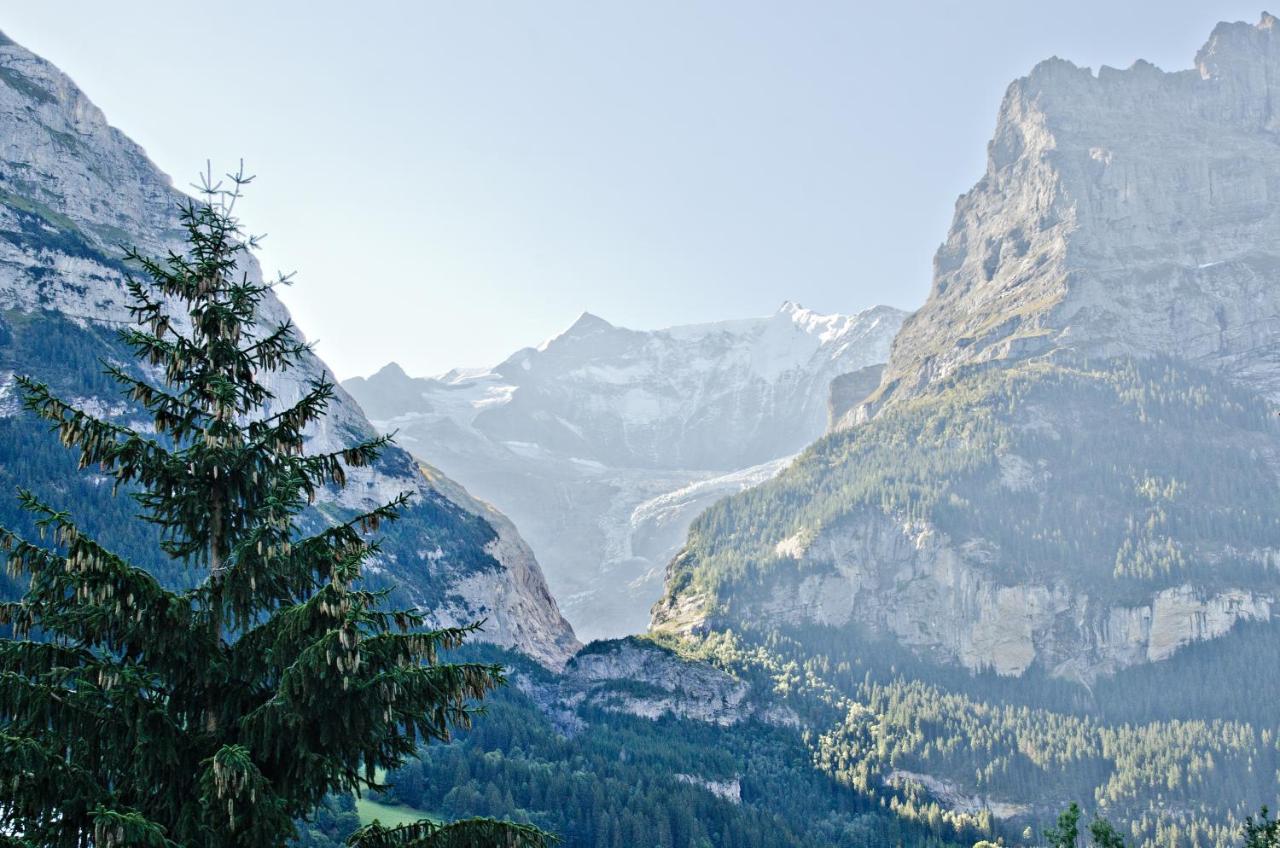 Apartment Felix - Griwa Rent Ag Grindelwald Exterior foto